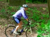 img_2212 img_2212