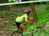 img_2278 img_2278