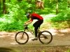 img_2450 img_2450