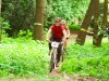 img_2619 img_2619