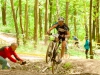img_2719 img_2719