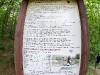 IMG_5153 IMG_5153