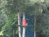 IMG_5542 IMG_5542