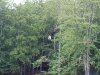 IMG_5543 IMG_5543