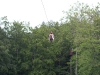IMG_5545 IMG_5545