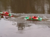 img_1247 img_1247