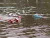 img_1250 img_1250