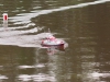 img_1288 img_1288
