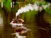 img_1369 img_1369