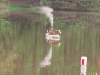 img_1375 img_1375