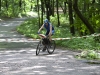 IMG_4554 IMG_4554