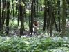 IMG_4570 IMG_4570