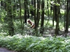 IMG_4571 IMG_4571