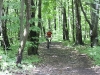 IMG_4676 IMG_4676