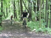 IMG_4714 IMG_4714